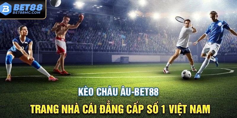 Sai lầm bạn thường gặp phải